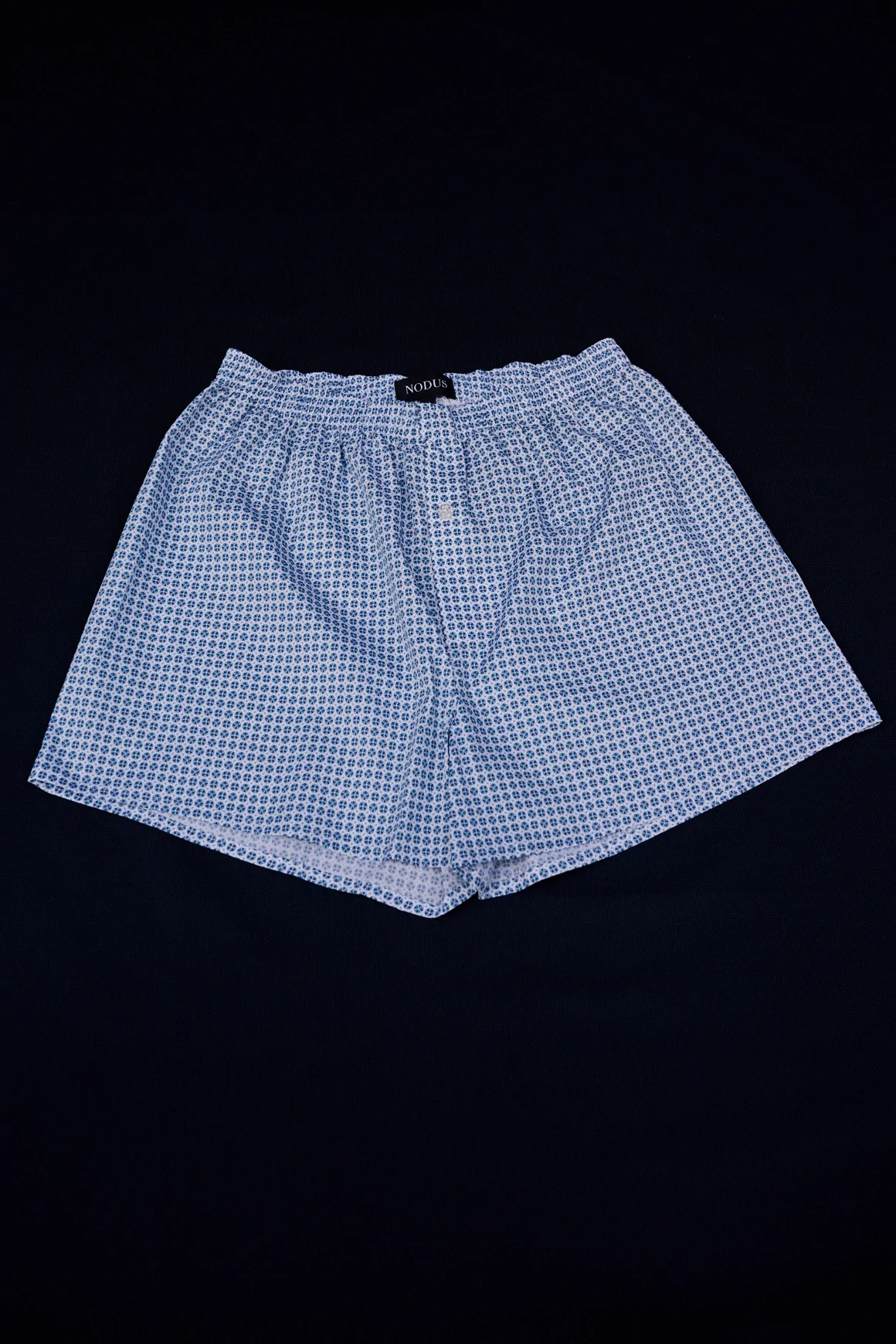 Boxer Micro Motif Bleu