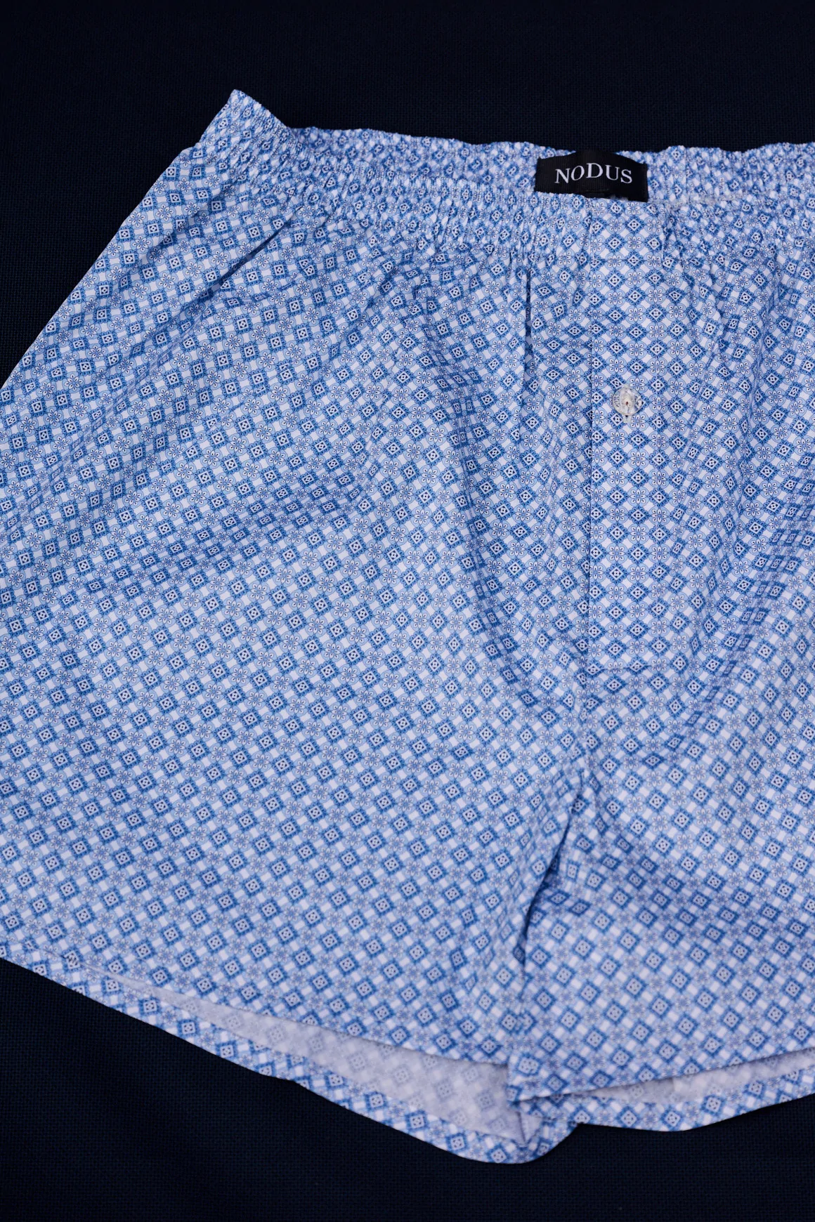 Boxer Micro Motif Bleu