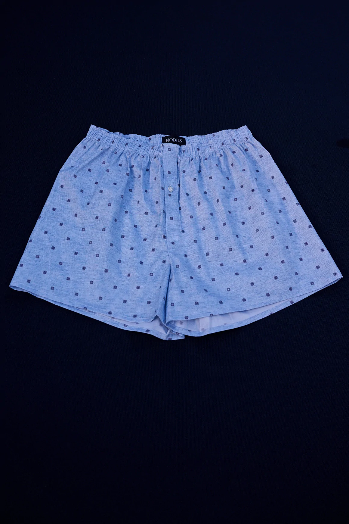 Boxer Micro Motif Bleu